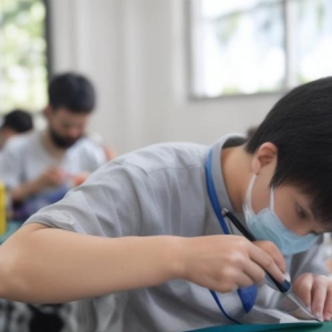 职业人才技能等级出台